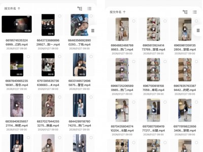 耗时2年精心收集，抖音顶级小姐姐精品切片，共32000部！